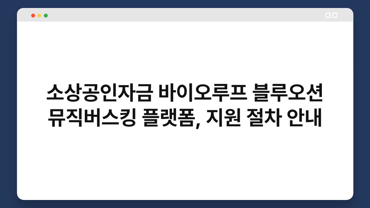 소상공인자금 바이오루프 블루오션 뮤직버스킹 플랫폼, 지원 절차 안내 1