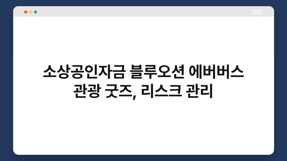 소상공인자금 블루오션 에버버스 관광 굿즈, 리스크 관리 1