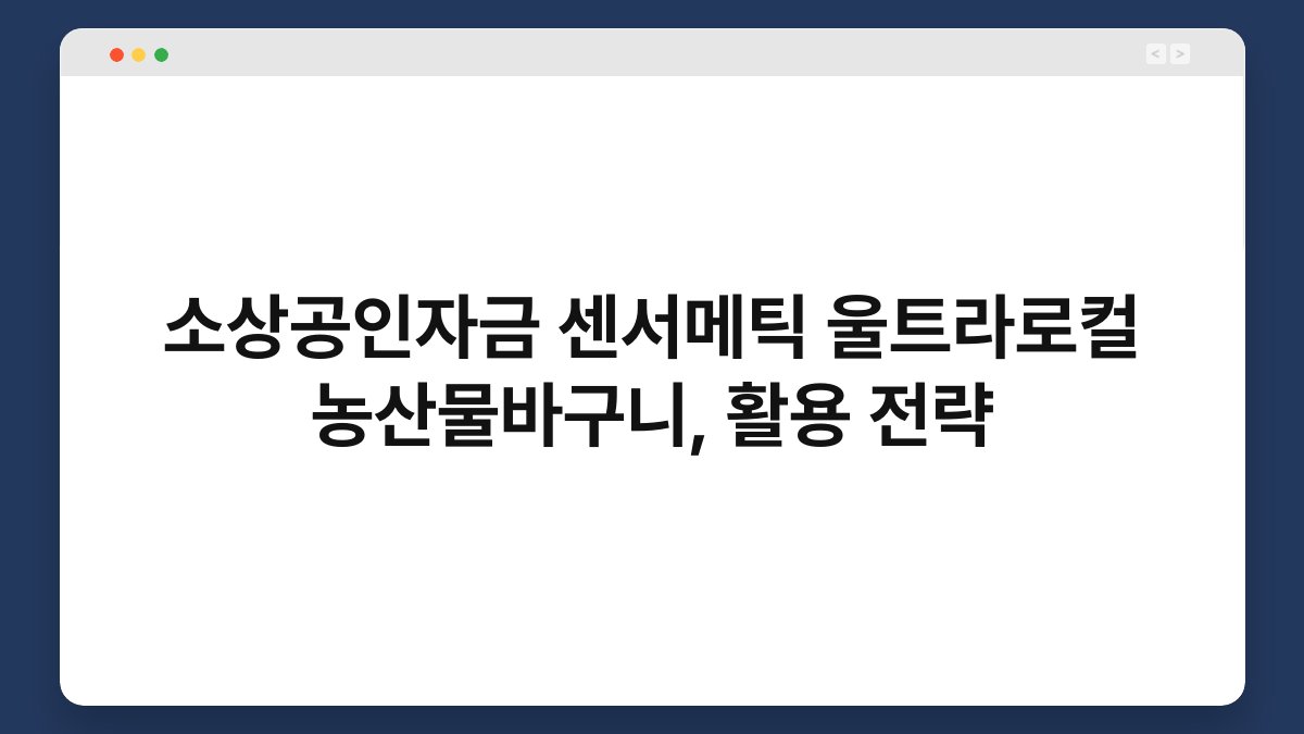 소상공인자금 센서메틱 울트라로컬 농산물바구니, 활용 전략 1