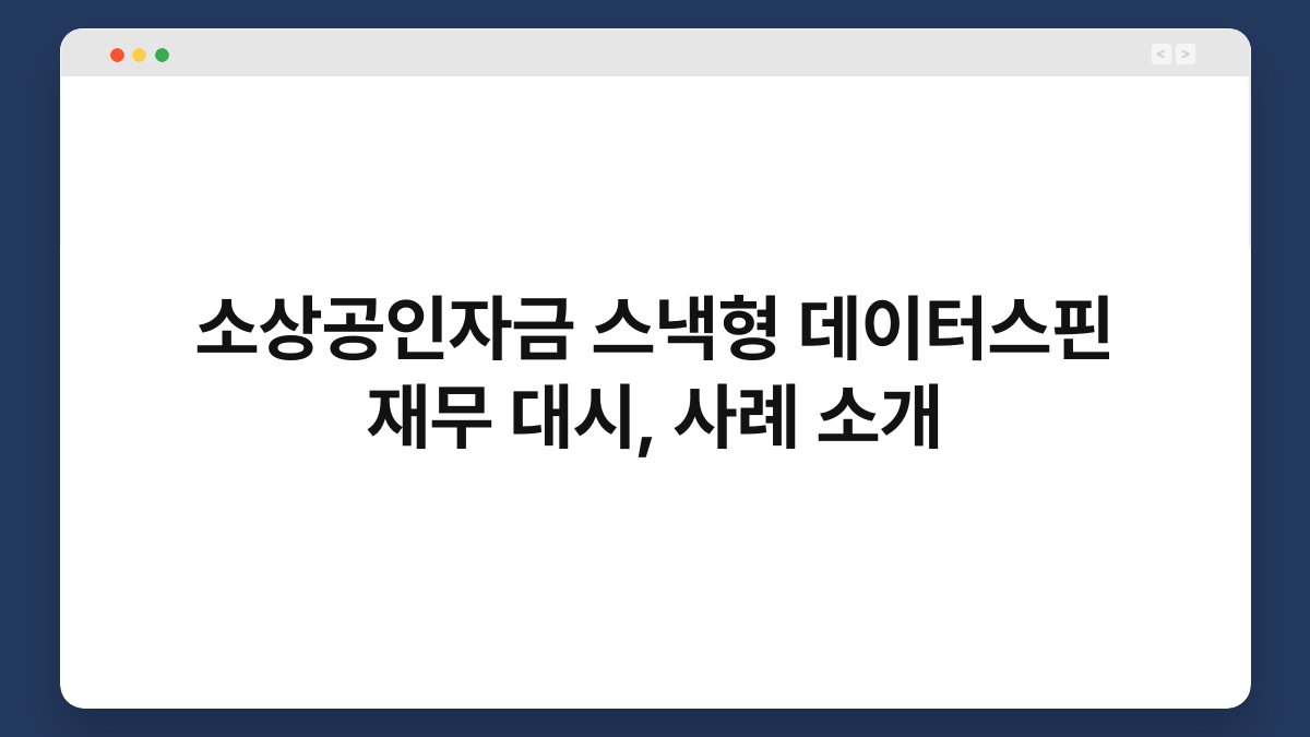 소상공인자금 스낵형 데이터스핀 재무 대시, 사례 소개 1