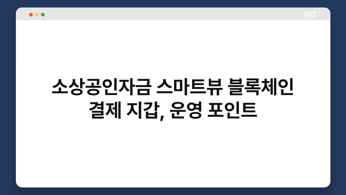 소상공인자금 스마트뷰 블록체인 결제 지갑, 운영 포인트 1