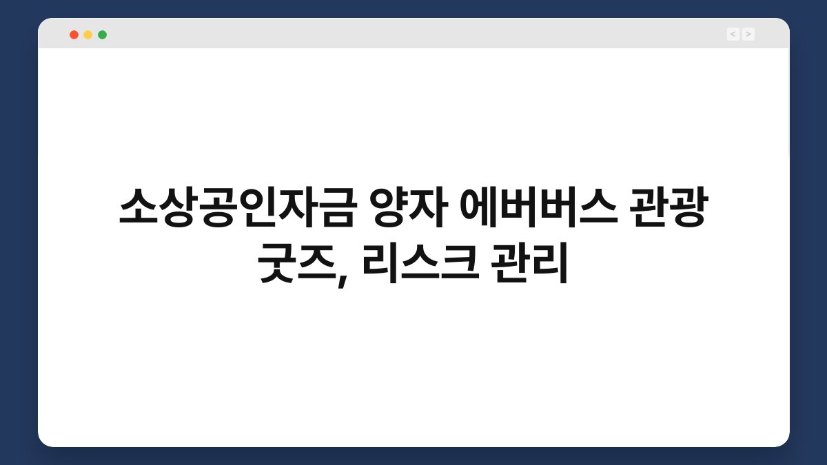 소상공인자금 양자 에버버스 관광 굿즈, 리스크 관리 1