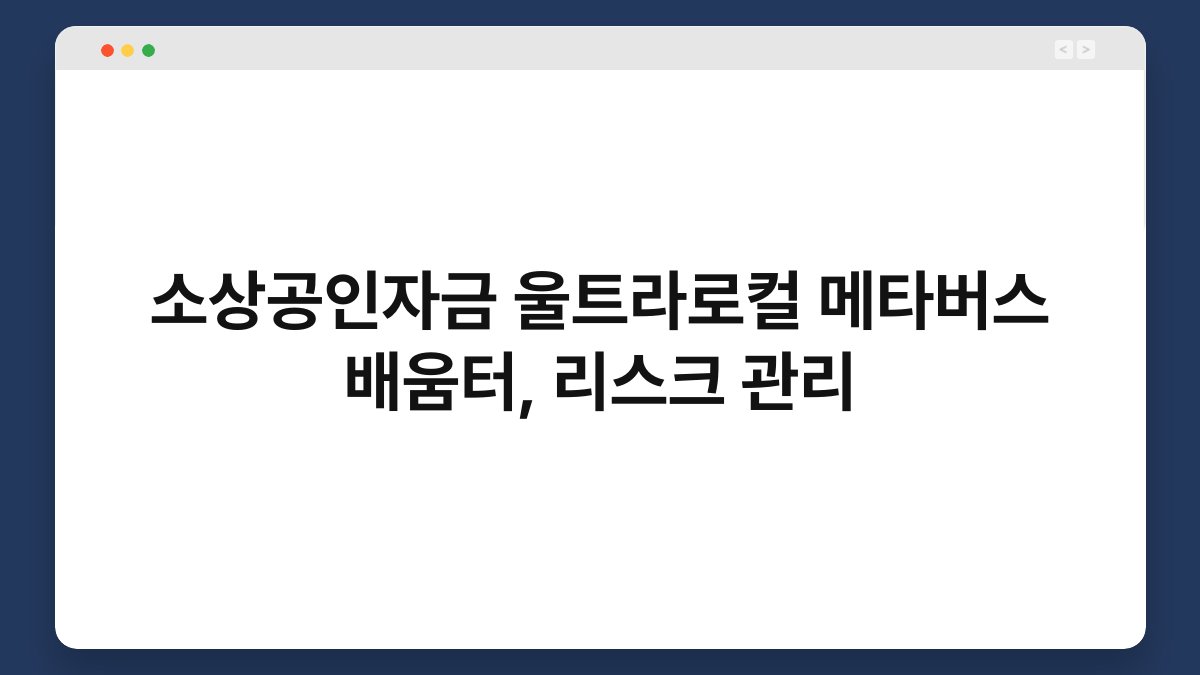 소상공인자금 울트라로컬 메타버스 배움터, 리스크 관리 1