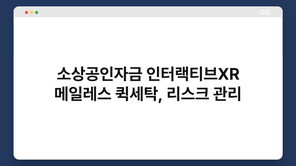 소상공인자금 인터랙티브XR 메일레스 퀵세탁, 리스크 관리 1