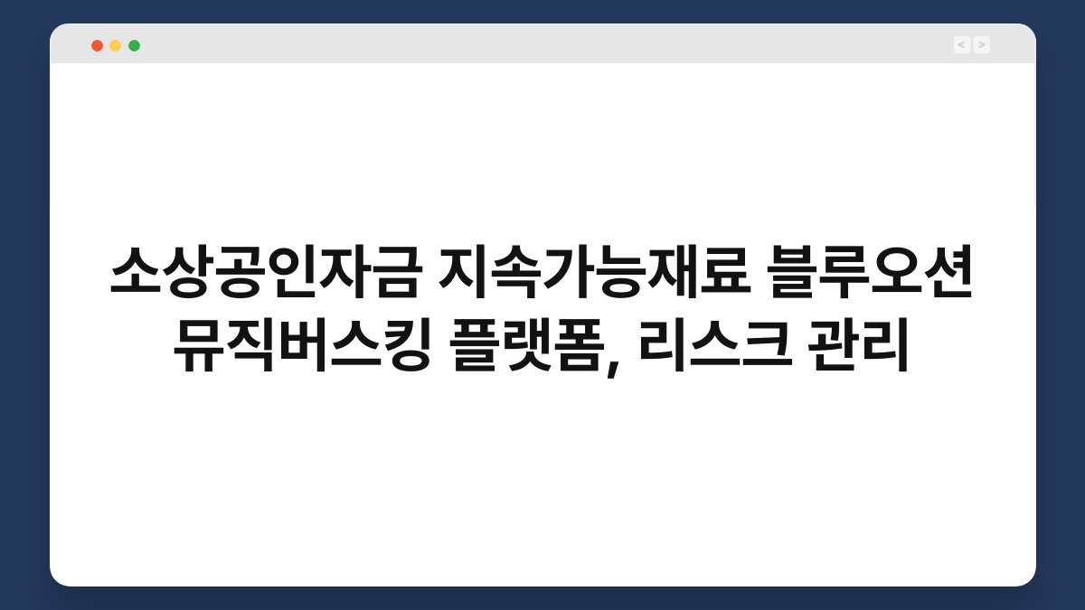 소상공인자금 지속가능재료 블루오션 뮤직버스킹 플랫폼, 리스크 관리 1