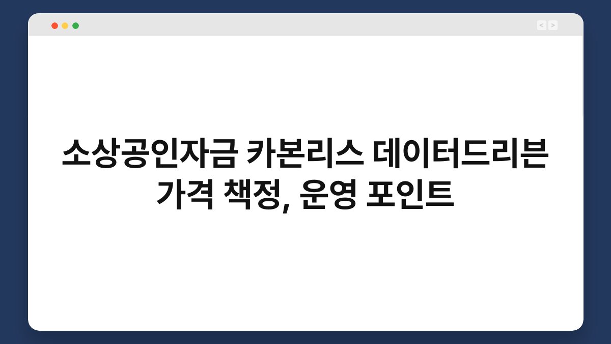 소상공인자금 카본리스 데이터드리븐 가격 책정, 운영 포인트 1