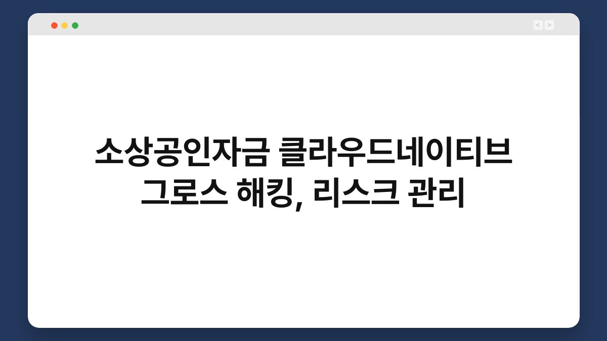 소상공인자금 클라우드네이티브 그로스 해킹, 리스크 관리 1