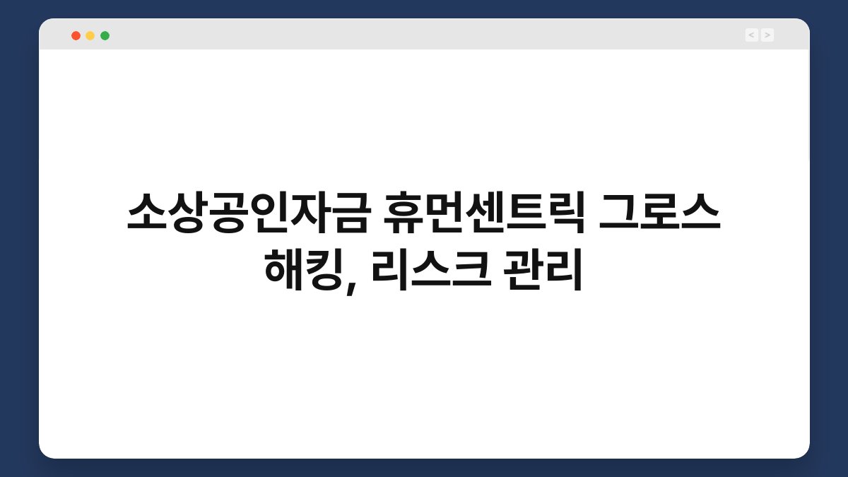 소상공인자금 휴먼센트릭 그로스 해킹, 리스크 관리 1
