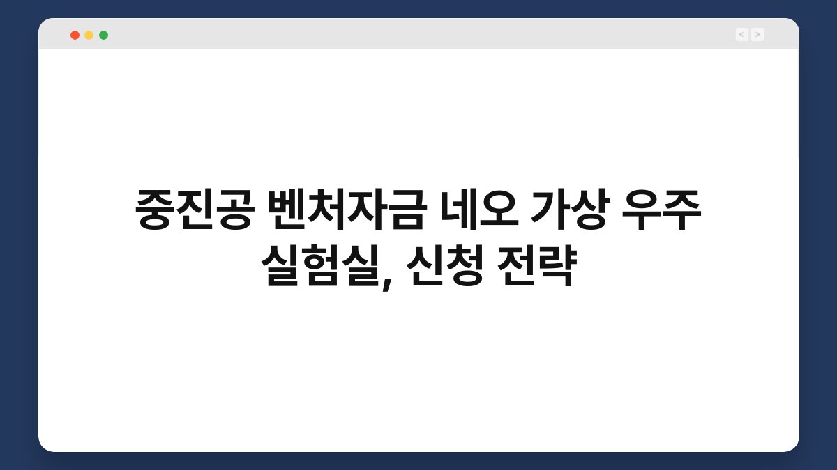 중진공 벤처자금 네오 가상 우주 실험실, 신청 전략 1
