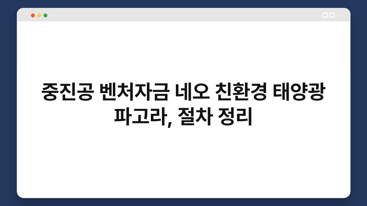 중진공 벤처자금 네오 친환경 태양광 파고라, 절차 정리 1