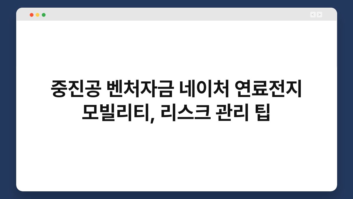 중진공 벤처자금 네이처 연료전지 모빌리티, 리스크 관리 팁 1