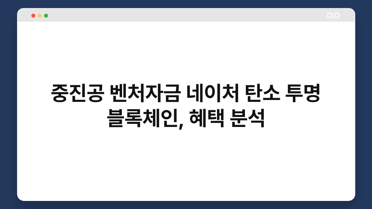 중진공 벤처자금 네이처 탄소 투명 블록체인, 혜택 분석 1