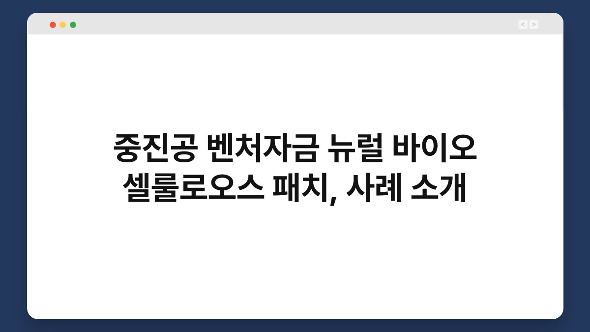 중진공 벤처자금 뉴럴 바이오 셀룰로오스 패치, 사례 소개 1