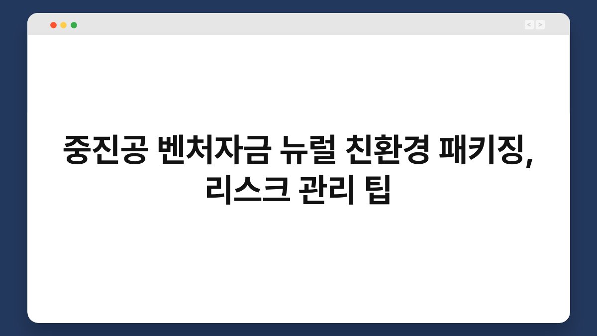 중진공 벤처자금 뉴럴 친환경 패키징, 리스크 관리 팁 1
