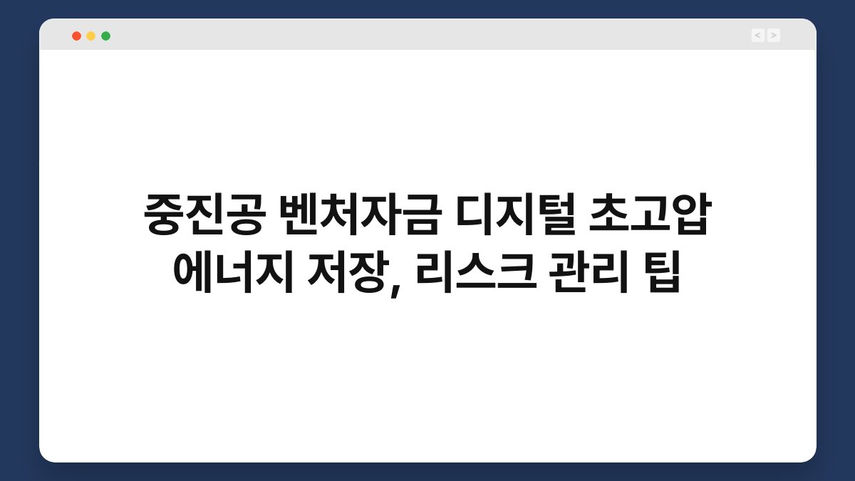 중진공 벤처자금 디지털 초고압 에너지 저장, 리스크 관리 팁 1