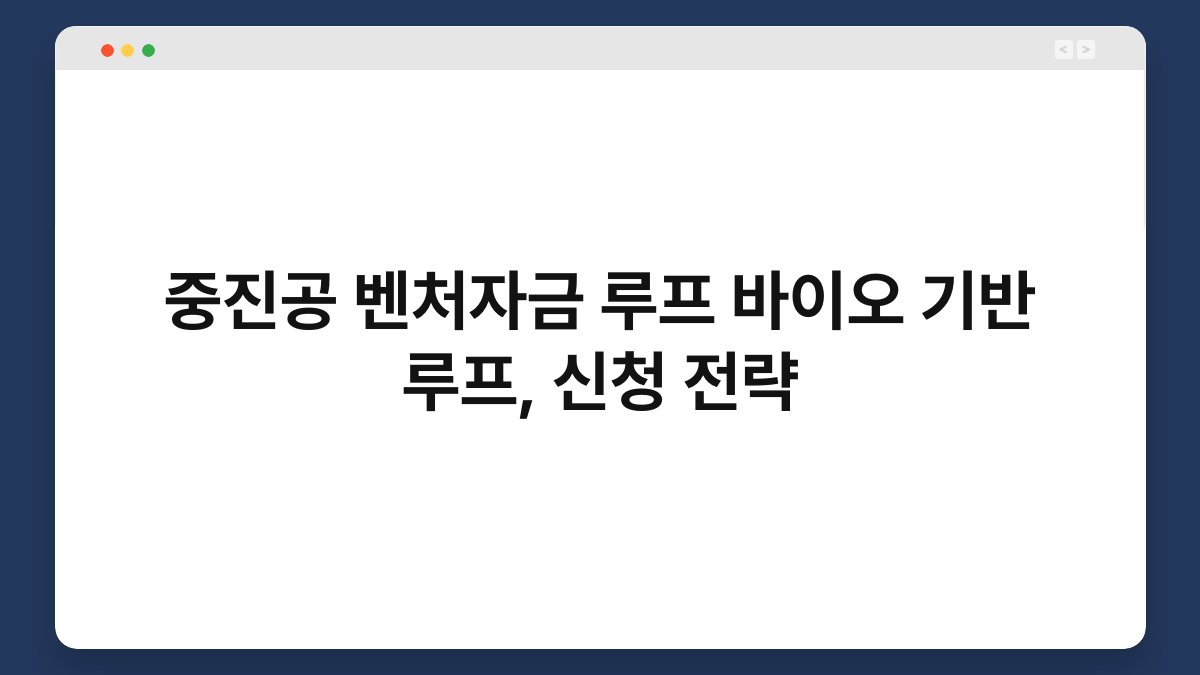 중진공 벤처자금 루프 바이오 기반 루프, 신청 전략 1