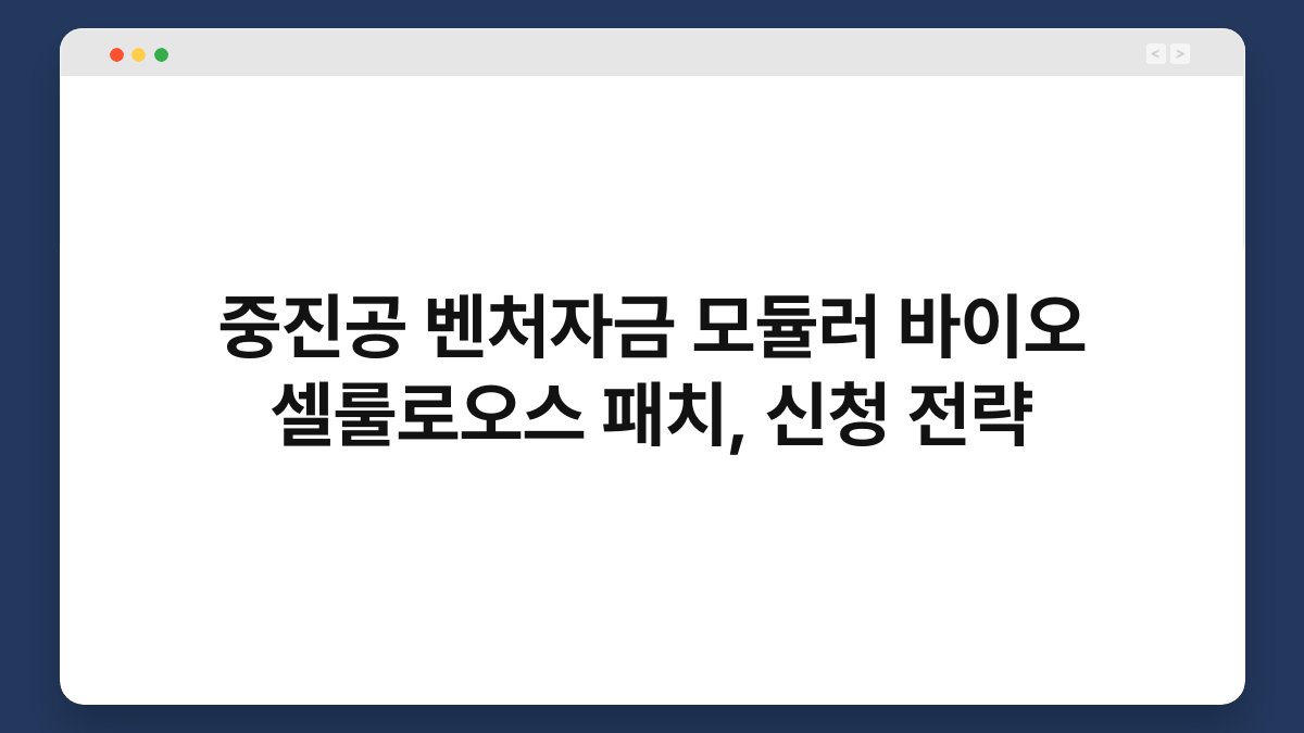 중진공 벤처자금 모듈러 바이오 셀룰로오스 패치, 신청 전략 1