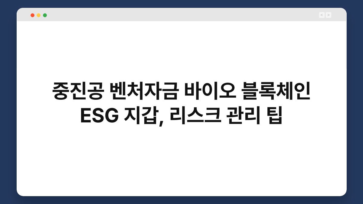 중진공 벤처자금 바이오 블록체인 ESG 지갑, 리스크 관리 팁 1