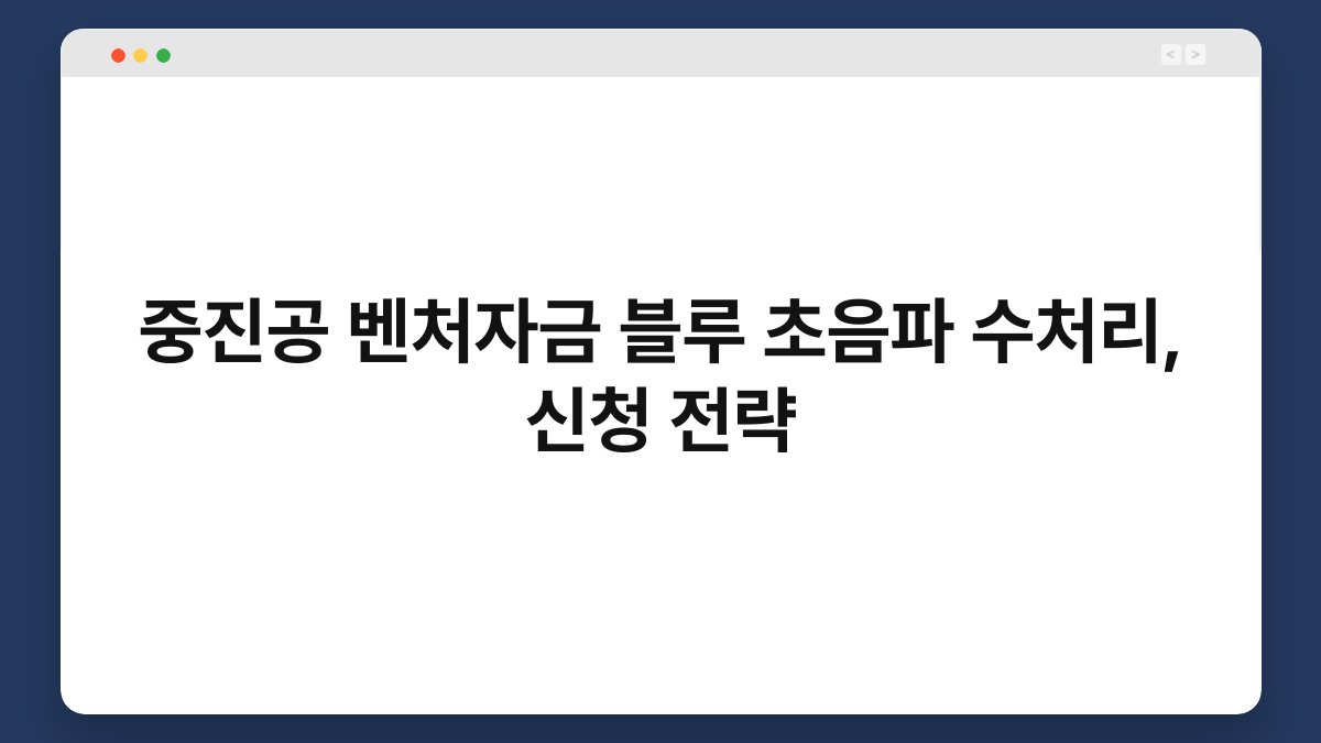 중진공 벤처자금 블루 초음파 수처리, 신청 전략 1