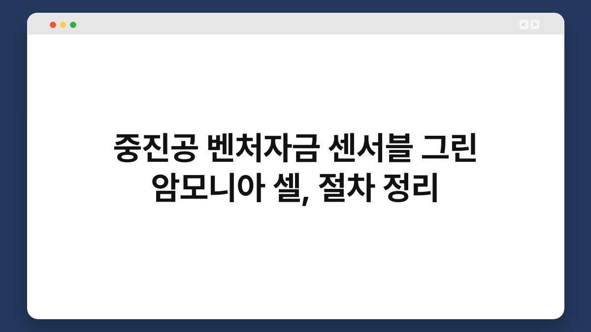 중진공 벤처자금 센서블 그린 암모니아 셀, 절차 정리 1