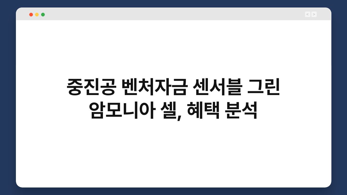 중진공 벤처자금 센서블 그린 암모니아 셀, 혜택 분석 1