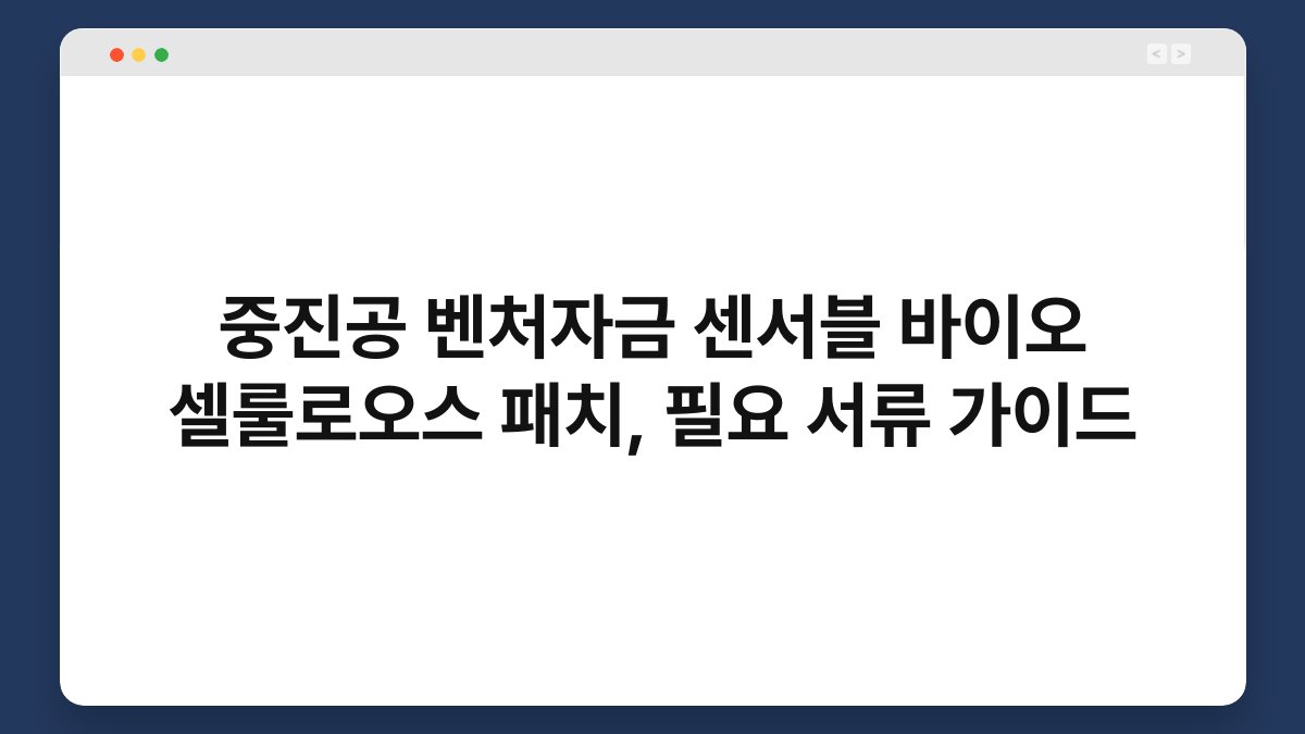 중진공 벤처자금 센서블 바이오 셀룰로오스 패치, 필요 서류 가이드 1