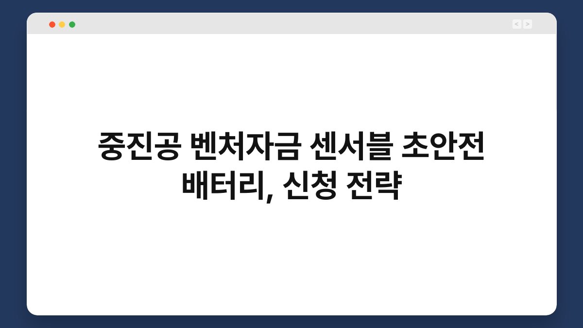 중진공 벤처자금 센서블 초안전 배터리, 신청 전략 1