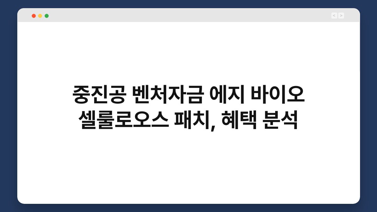 중진공 벤처자금 에지 바이오 셀룰로오스 패치, 혜택 분석 1