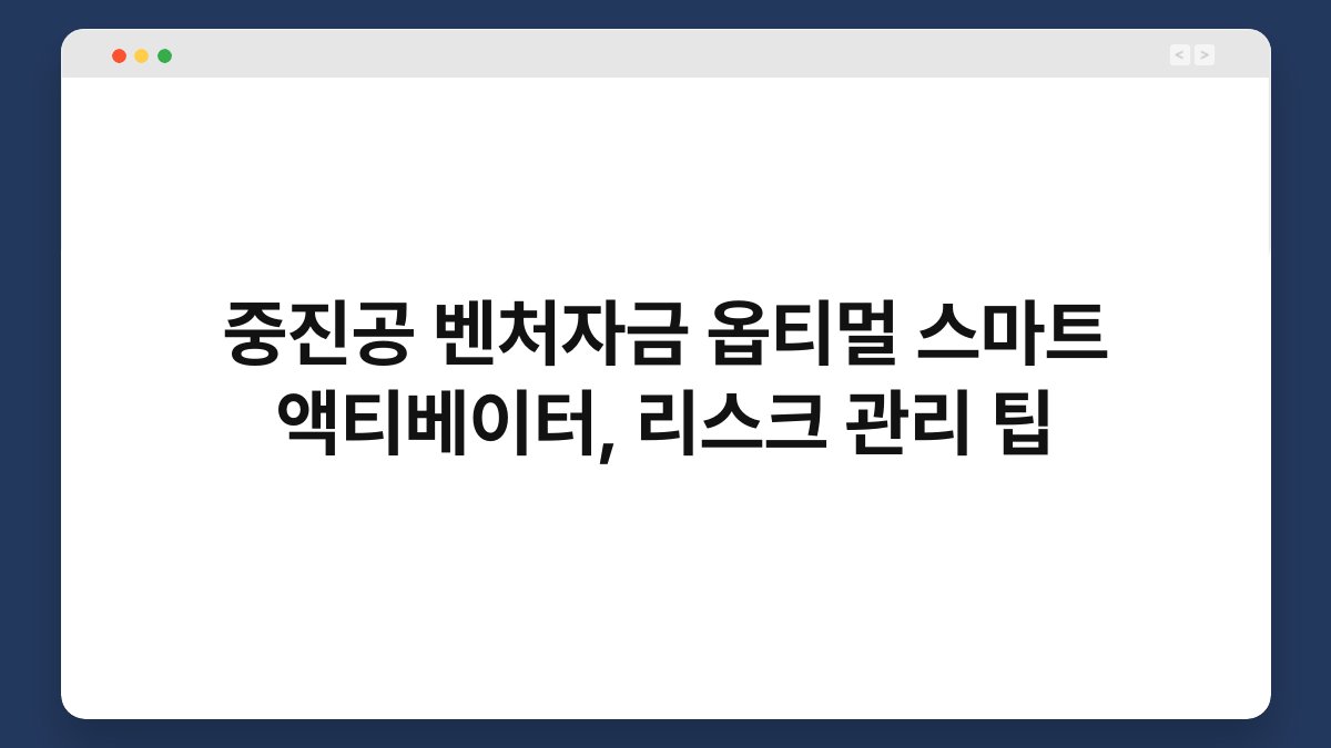중진공 벤처자금 옵티멀 스마트 액티베이터, 리스크 관리 팁 1