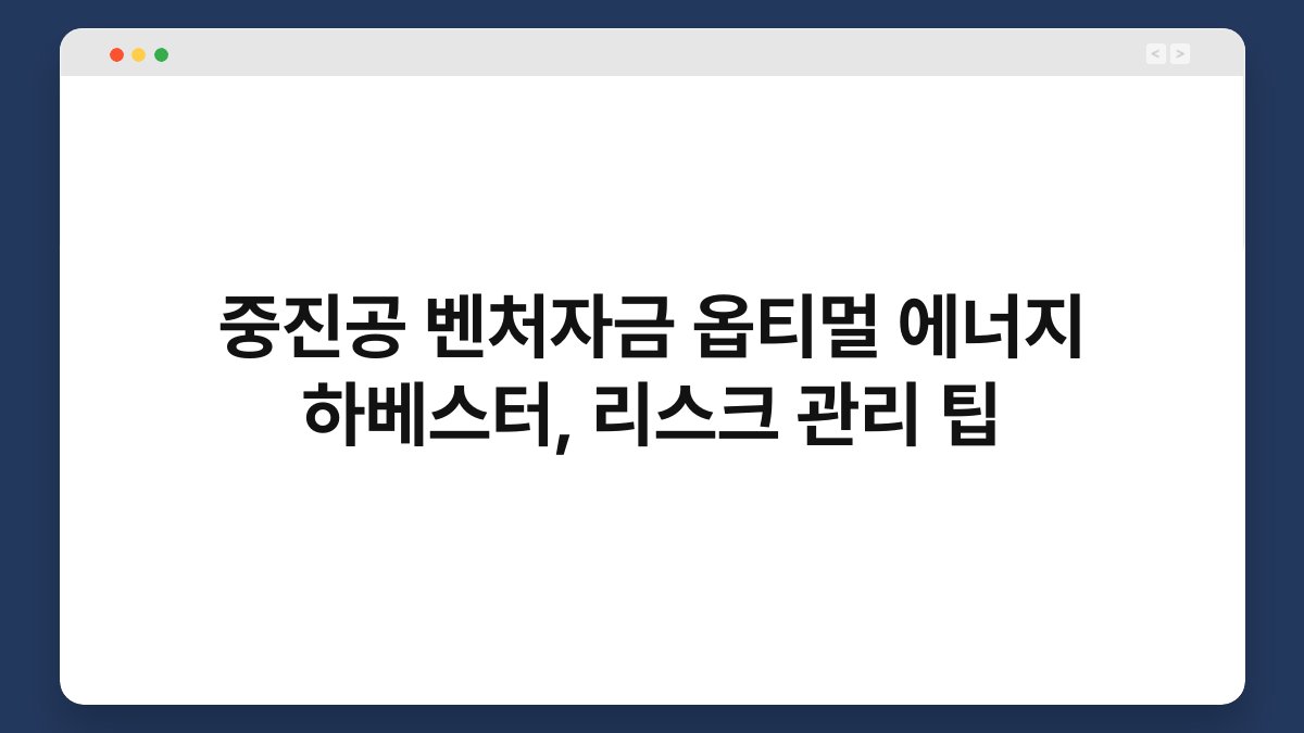 중진공 벤처자금 옵티멀 에너지 하베스터, 리스크 관리 팁 1