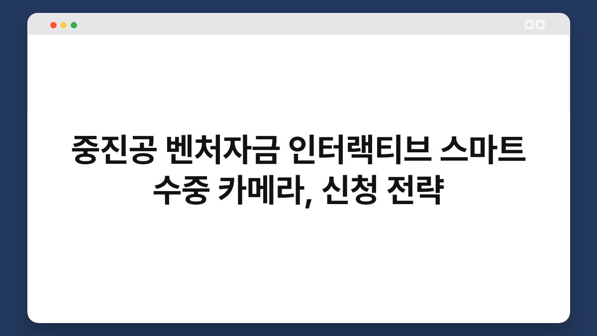 중진공 벤처자금 인터랙티브 스마트 수중 카메라, 신청 전략 1