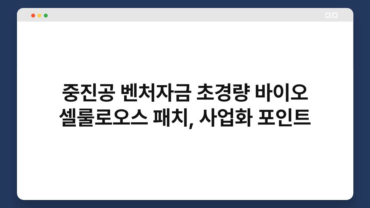 중진공 벤처자금 초경량 바이오 셀룰로오스 패치, 사업화 포인트 1