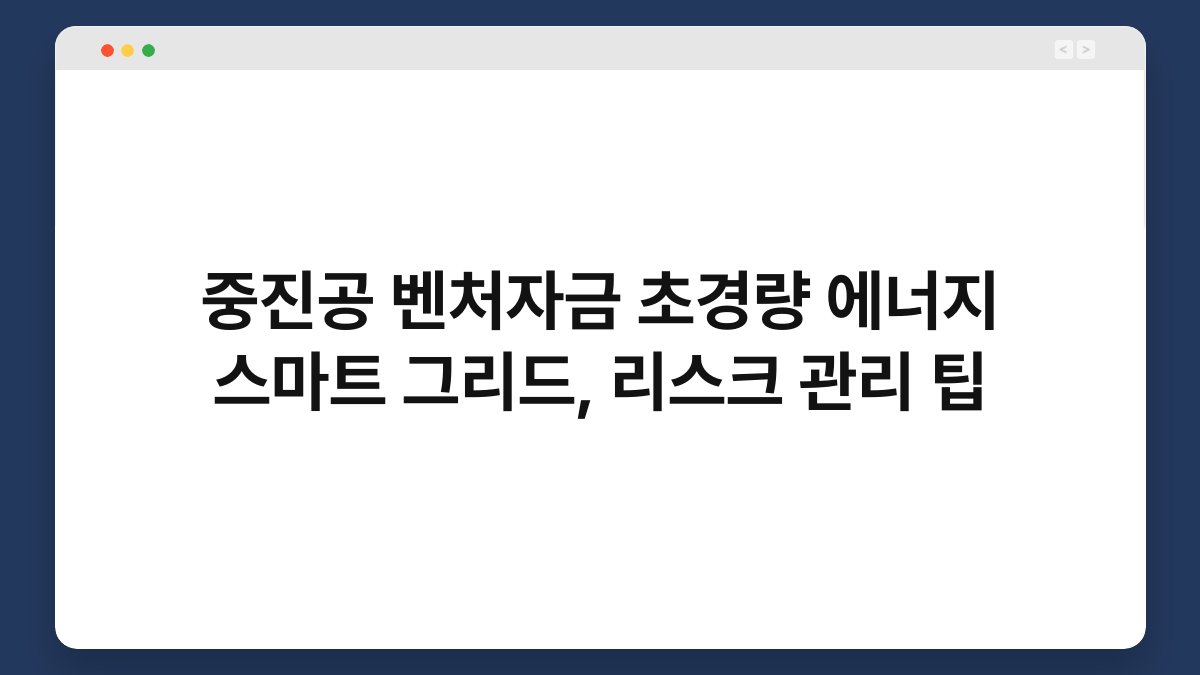 중진공 벤처자금 초경량 에너지 스마트 그리드, 리스크 관리 팁 1