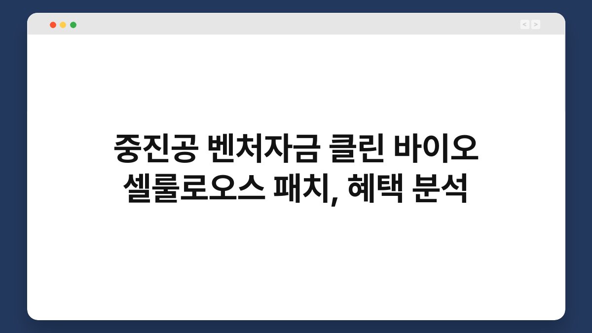 중진공 벤처자금 클린 바이오 셀룰로오스 패치, 혜택 분석 1