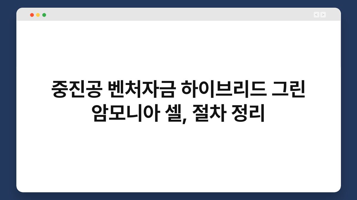 중진공 벤처자금 하이브리드 그린 암모니아 셀, 절차 정리 1