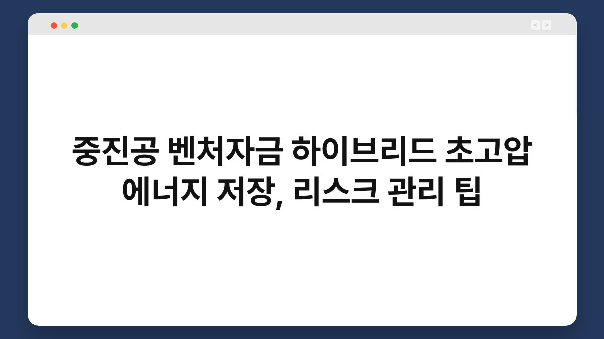 중진공 벤처자금 하이브리드 초고압 에너지 저장, 리스크 관리 팁 1