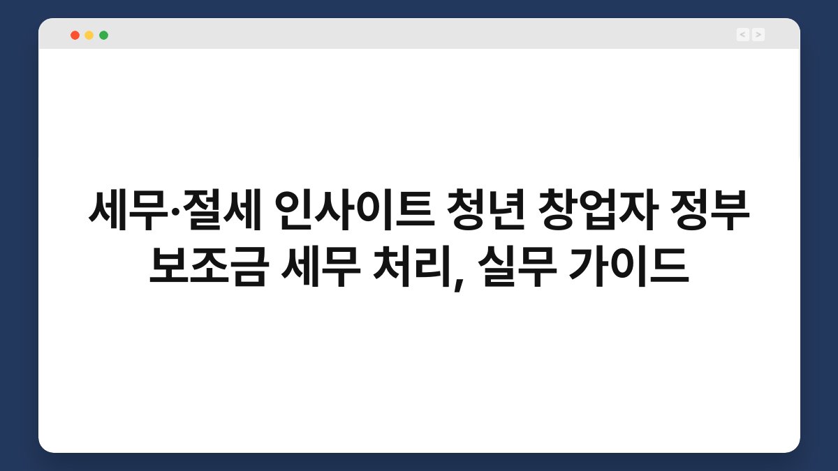 세무·절세 인사이트 청년 창업자 정부 보조금 세무 처리, 실무 가이드 1