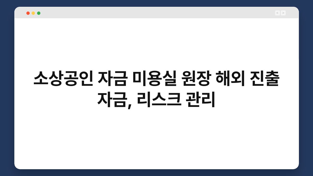 소상공인 자금 미용실 원장 해외 진출 자금, 리스크 관리 1