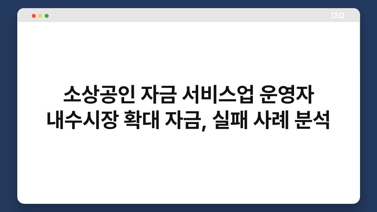 소상공인 자금 서비스업 운영자 내수시장 확대 자금, 실패 사례 분석 1