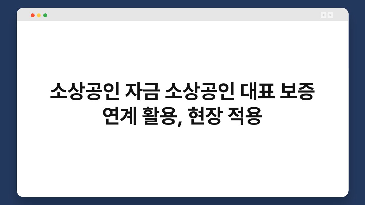 소상공인 자금 소상공인 대표 보증 연계 활용, 현장 적용 1