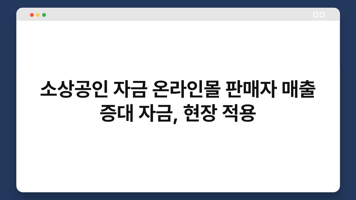 소상공인 자금 온라인몰 판매자 매출 증대 자금, 현장 적용 1