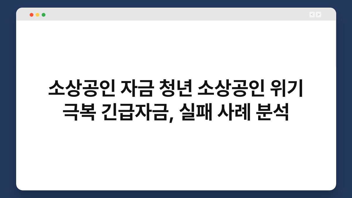 소상공인 자금 청년 소상공인 위기 극복 긴급자금, 실패 사례 분석 1