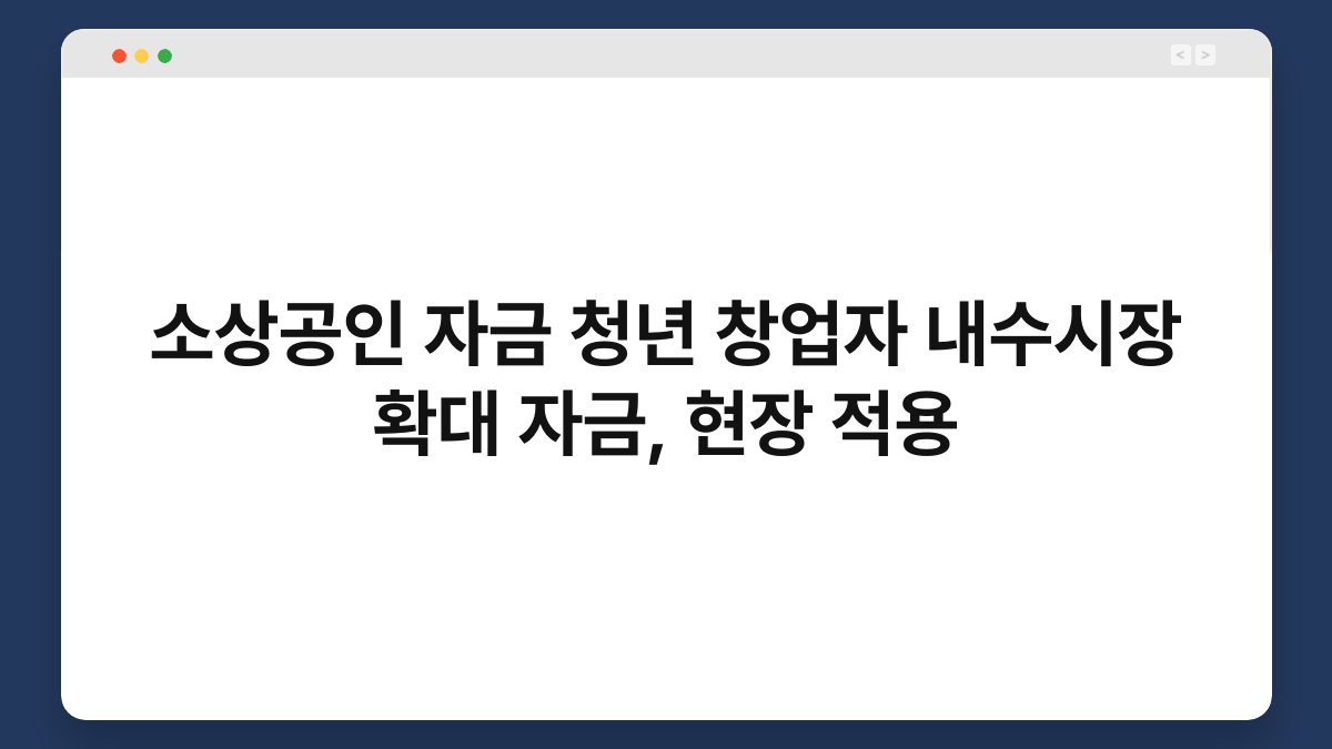 소상공인 자금 청년 창업자 내수시장 확대 자금, 현장 적용 1
