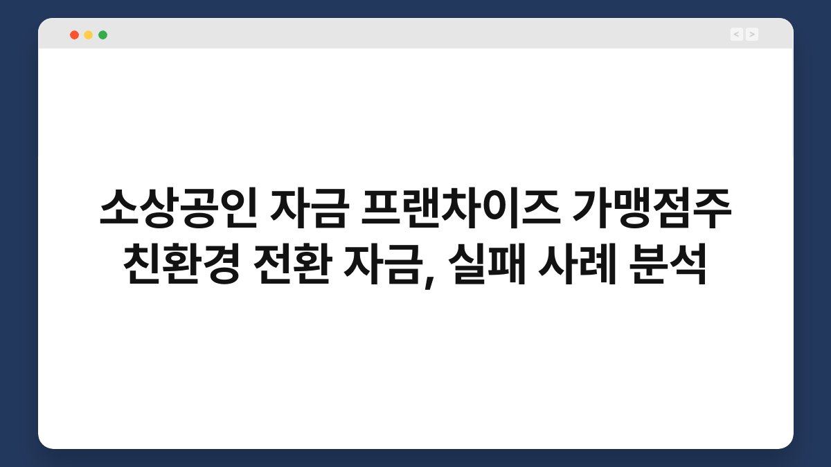 소상공인 자금 프랜차이즈 가맹점주 친환경 전환 자금, 실패 사례 분석 1