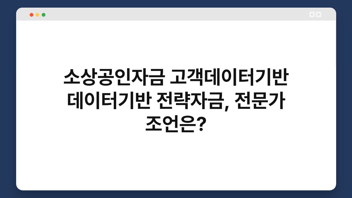 소상공인자금 고객데이터기반 데이터기반 전략자금, 전문가 조언은? 1