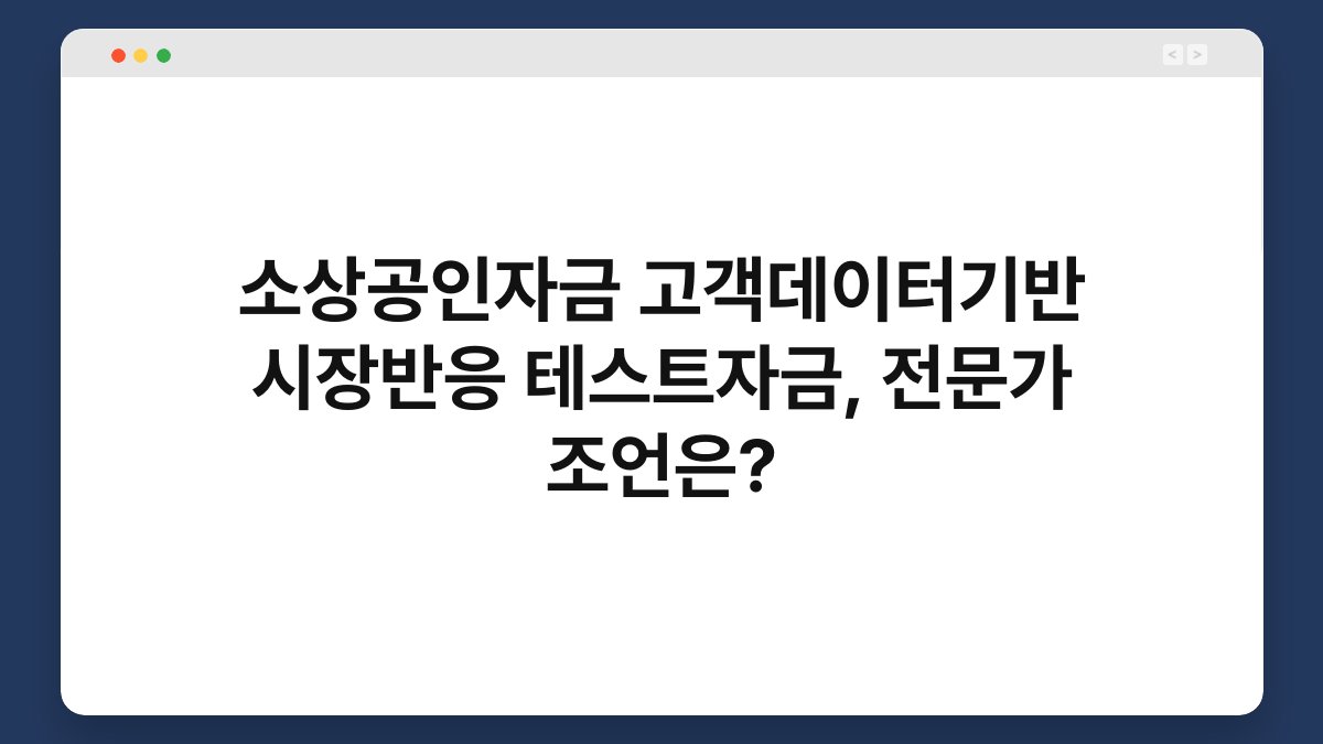 소상공인자금 고객데이터기반 시장반응 테스트자금, 전문가 조언은? 1