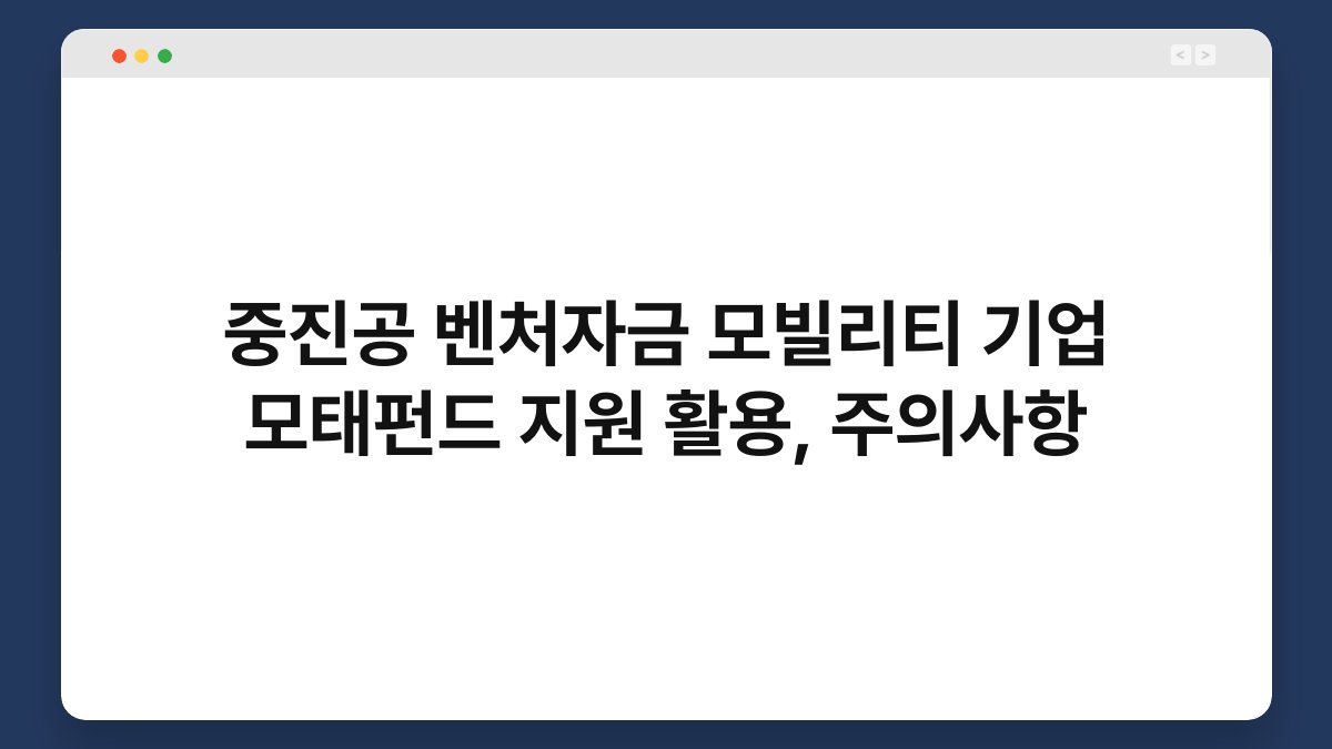 중진공 벤처자금 모빌리티 기업 모태펀드 지원 활용, 주의사항 1