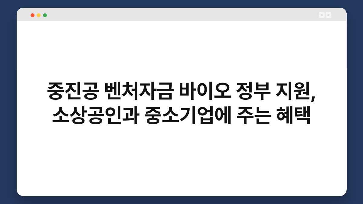 중진공 벤처자금 바이오 정부 지원, 소상공인과 중소기업에 주는 혜택 1