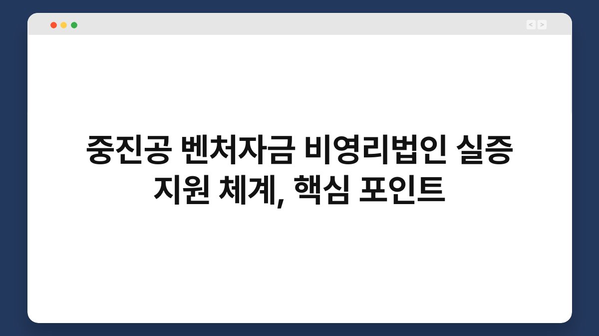 중진공 벤처자금 비영리법인 실증 지원 체계, 핵심 포인트 1