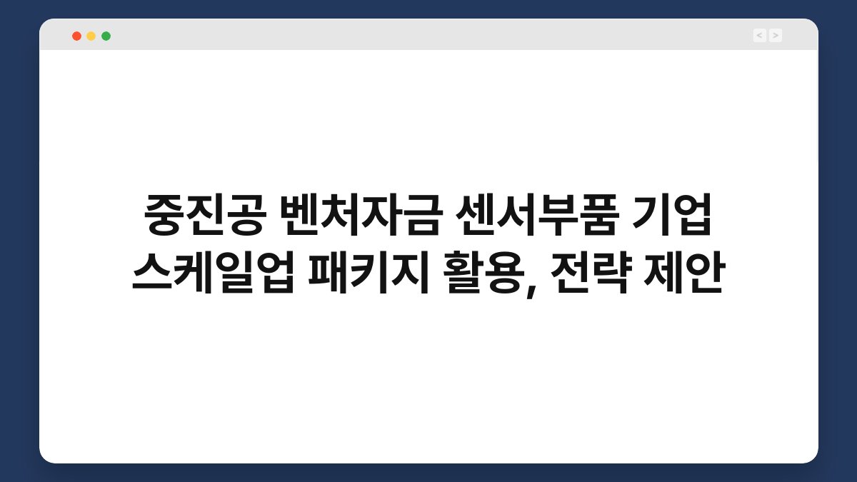 중진공 벤처자금 센서부품 기업 스케일업 패키지 활용, 전략 제안 1